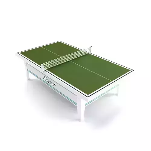 Table Tennis Court