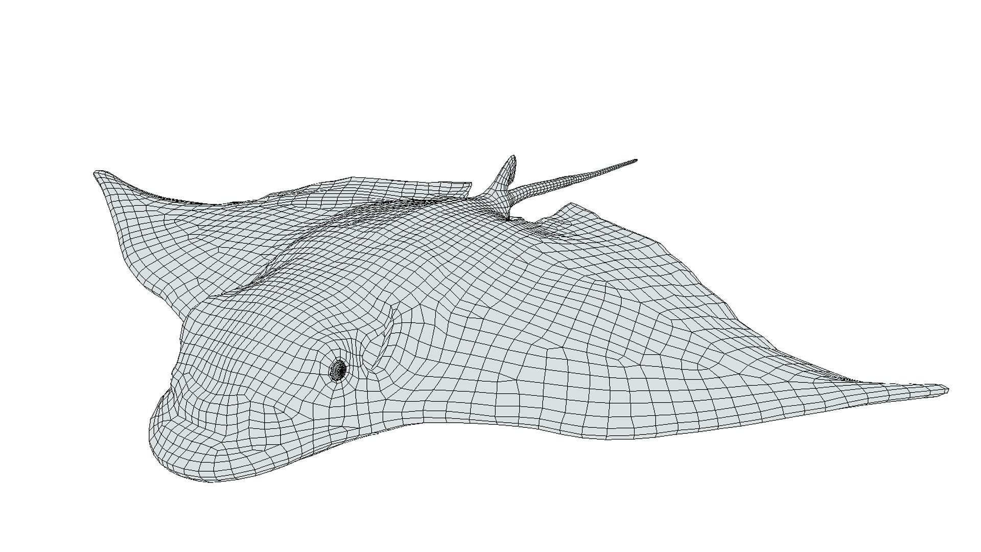 Eagle Ray Low-poly 3D model_2