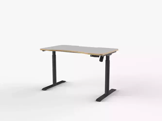 Adjustable Desk