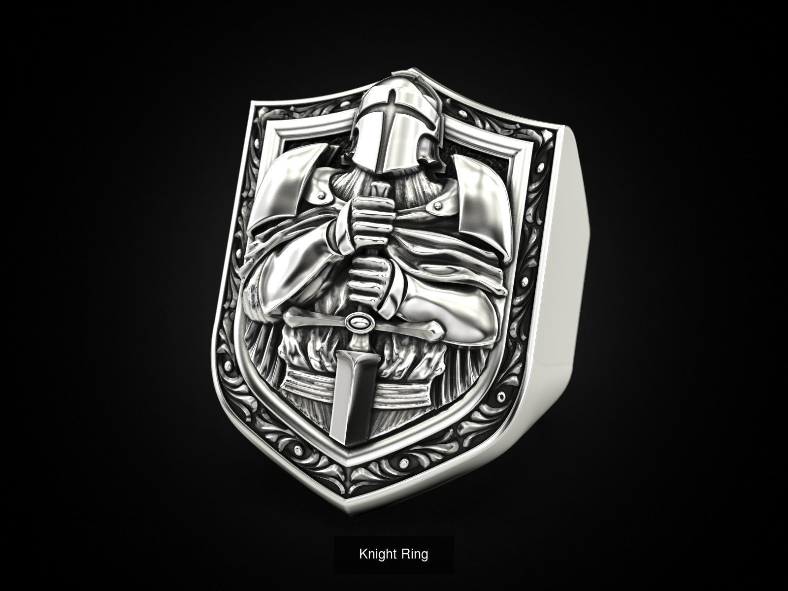 Collection Knight Ring and Pendant _5