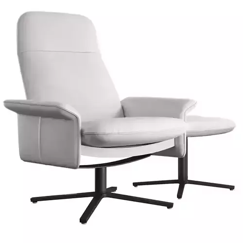 de Sede  DS - 55 Armchair