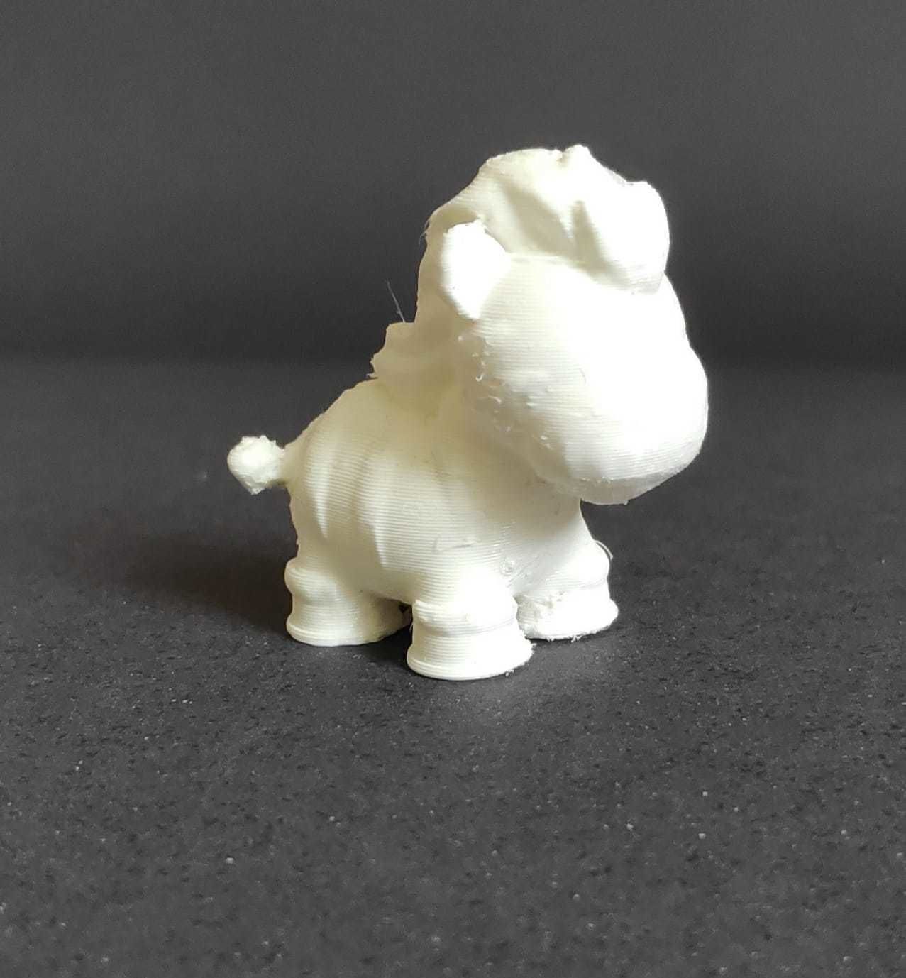 Little Zebra 3D print model_3
