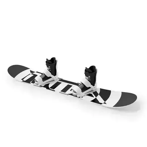 Snowboard