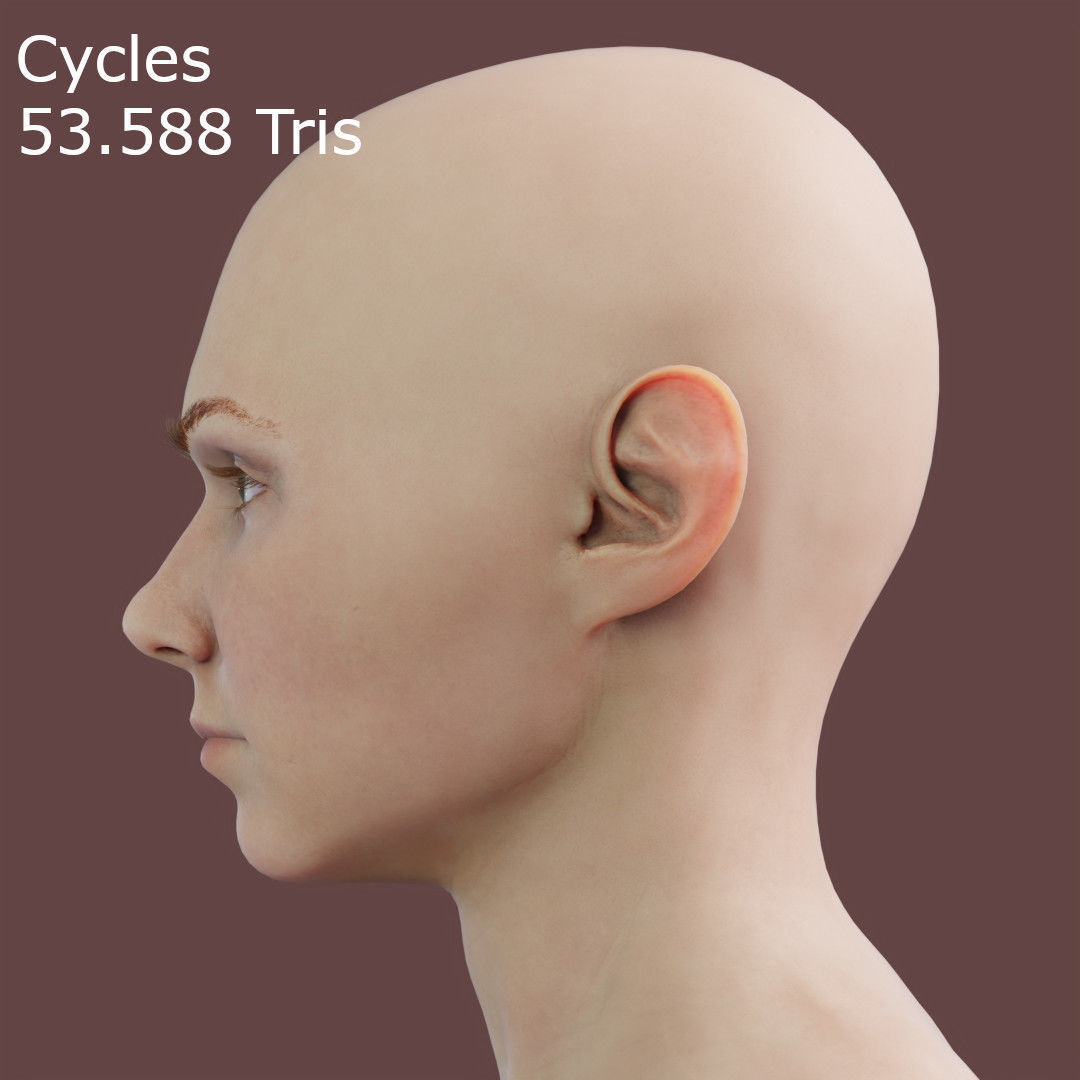 Young Female Head Low-poly 3D model_11