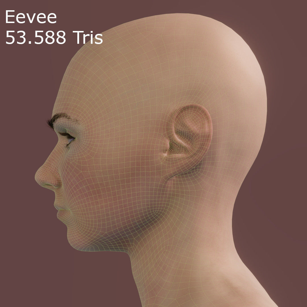 Young Female Head Low-poly 3D model_13