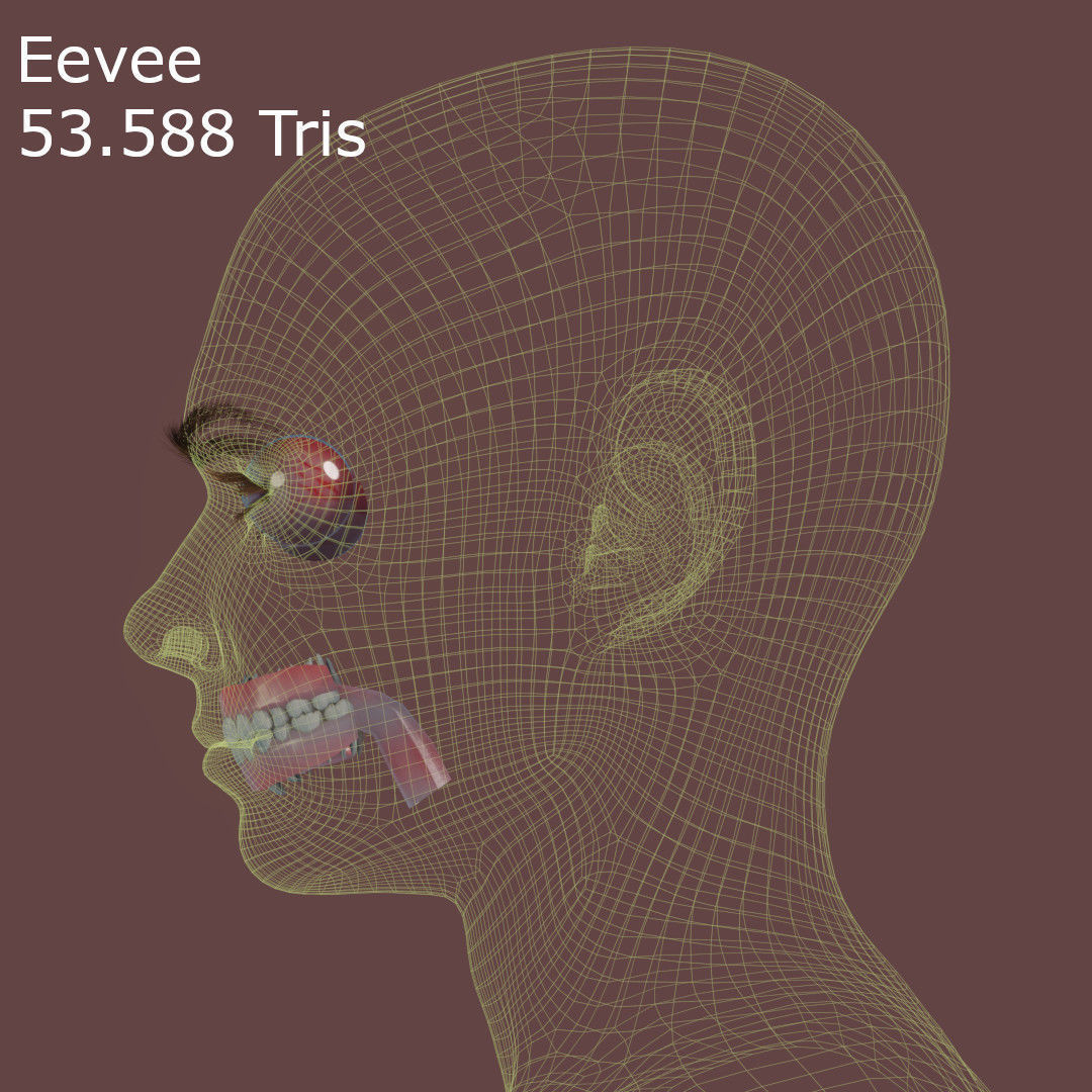 Young Female Head Low-poly 3D model_14