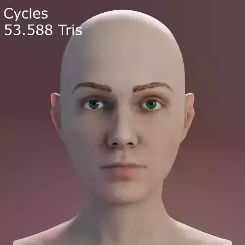 Young Female Head Low-poly 3D model Young Female Head Low-poly 3D model