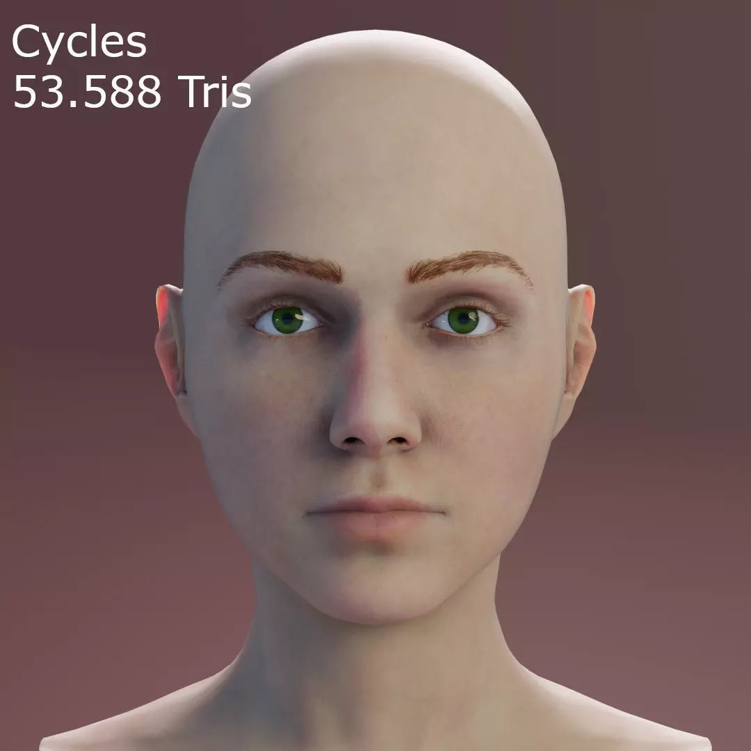 Young Female Head Low-poly 3D model_0