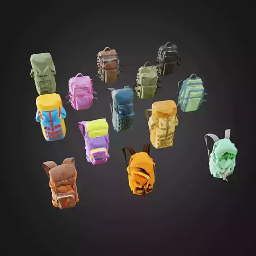 Backpacks set 