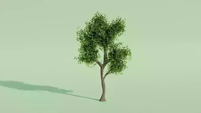 Tree Model