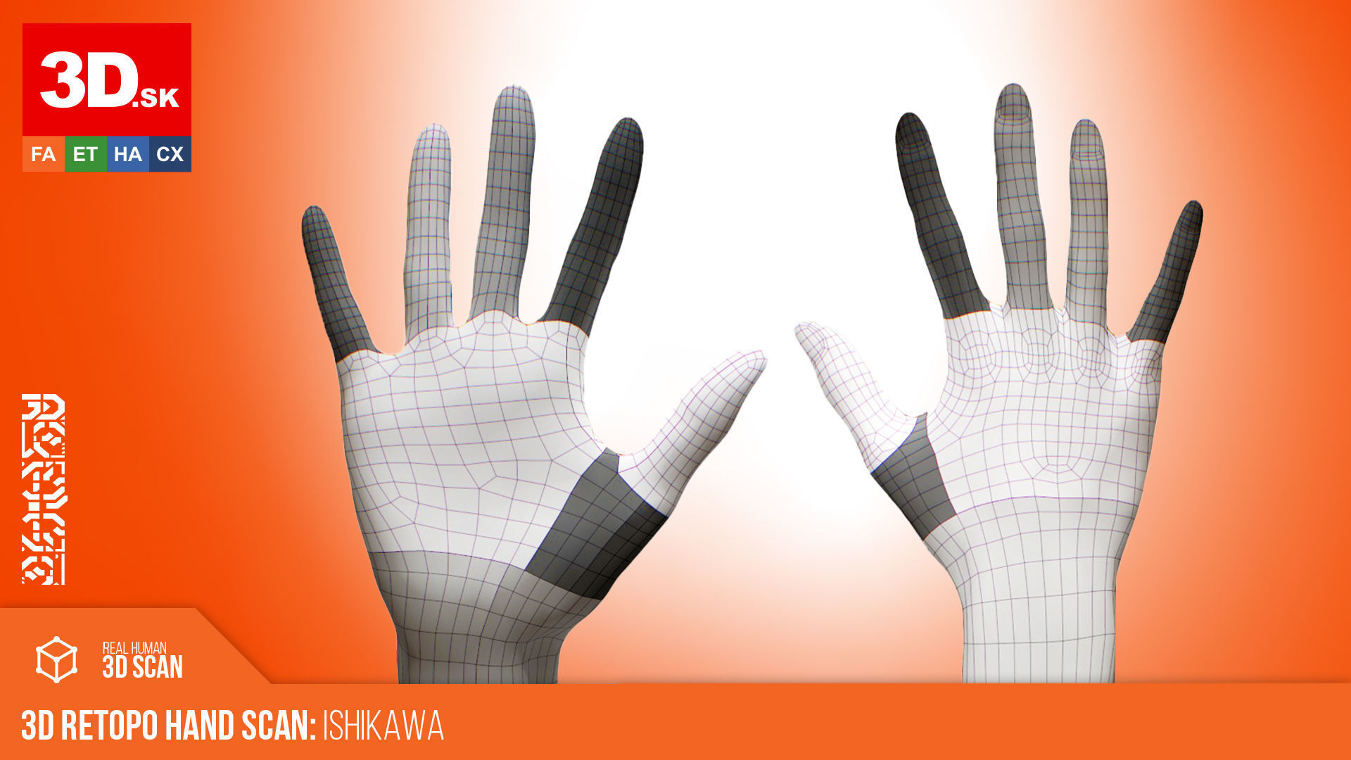 3D Retopologized Hand Scan Ishikawa Sayoko 3D model_2