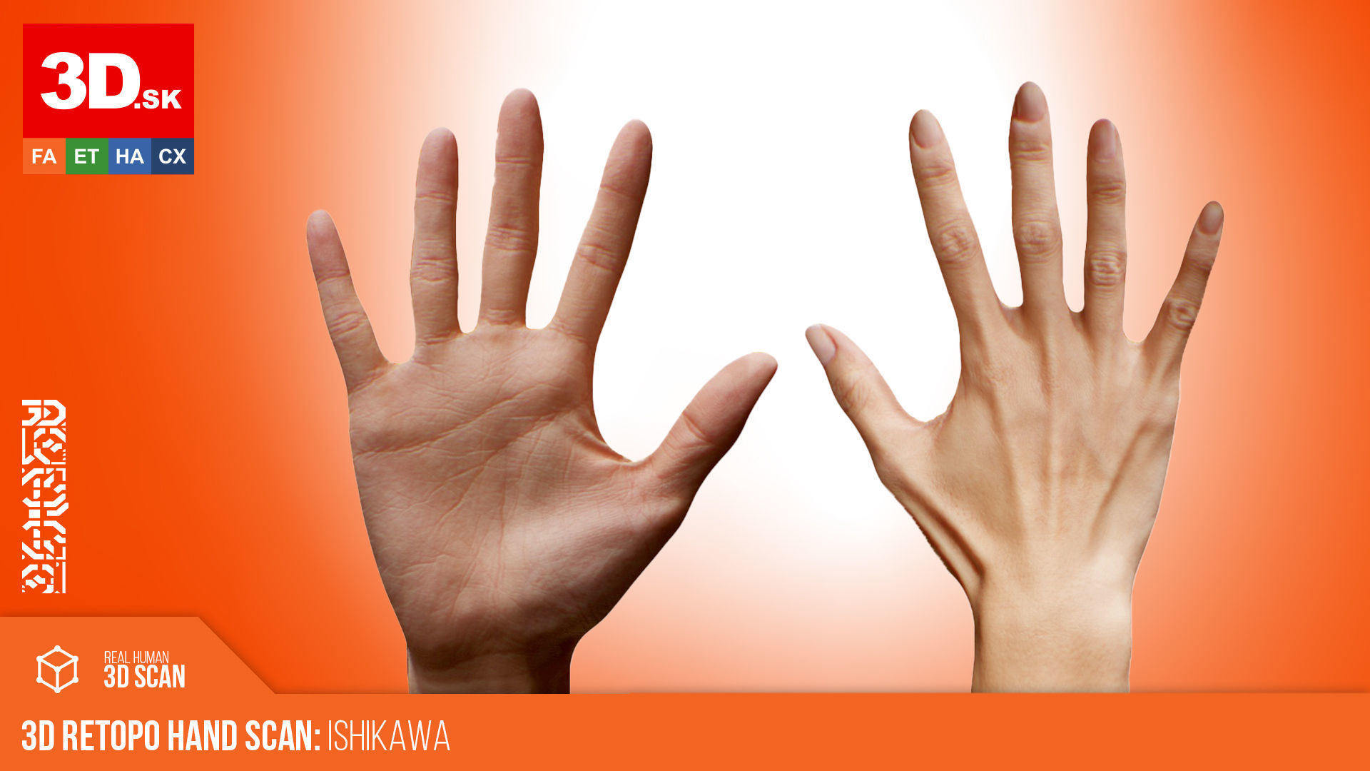 3D Retopologized Hand Scan Ishikawa Sayoko 3D model_1