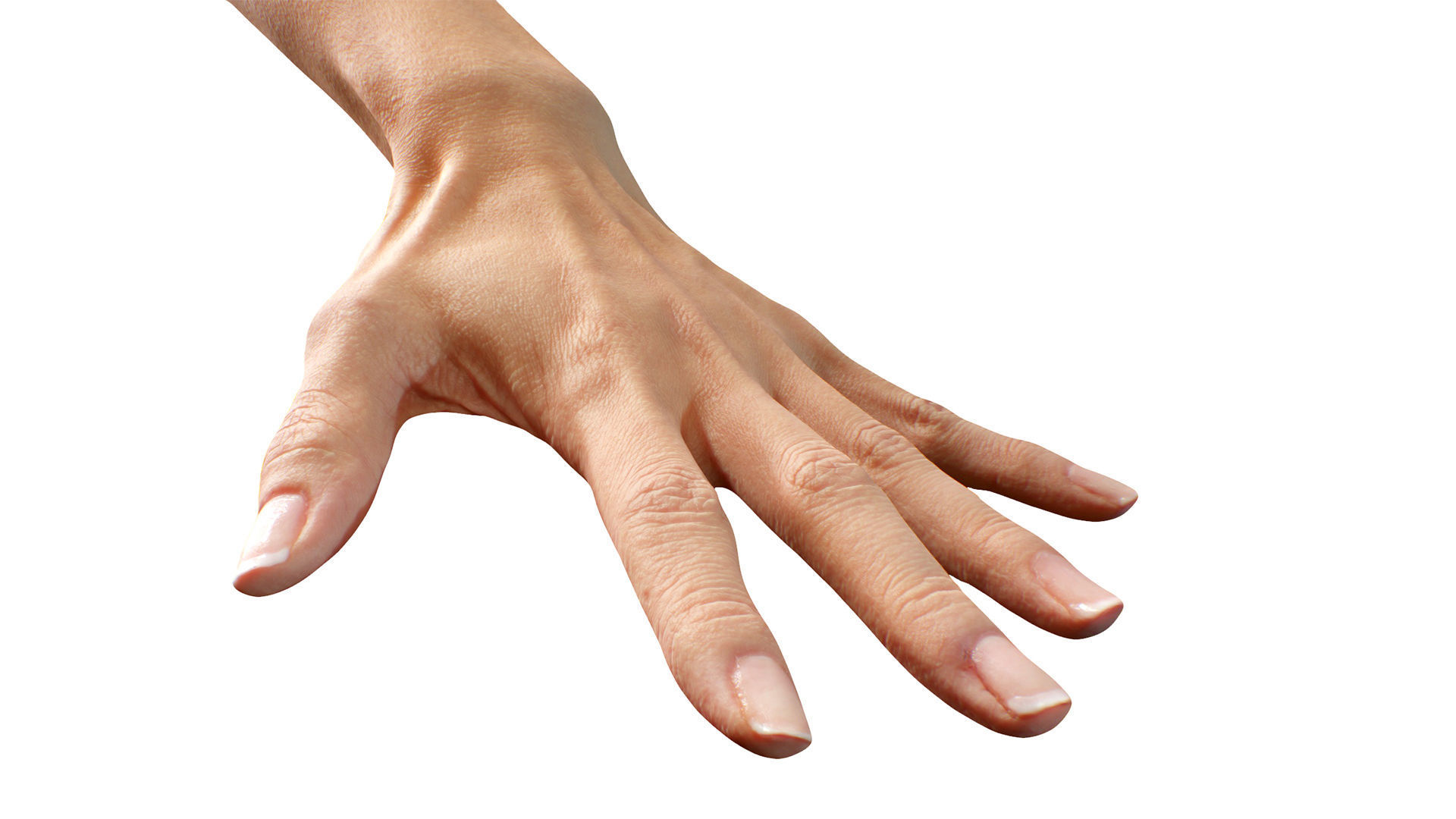 3D Retopologized Hand Scan Ishikawa Sayoko 3D model_5