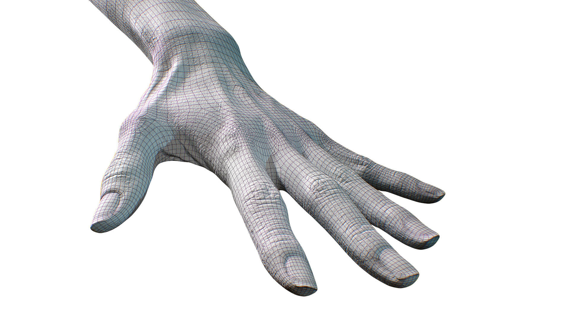 3D Retopologized Hand Scan Ishikawa Sayoko 3D model_8