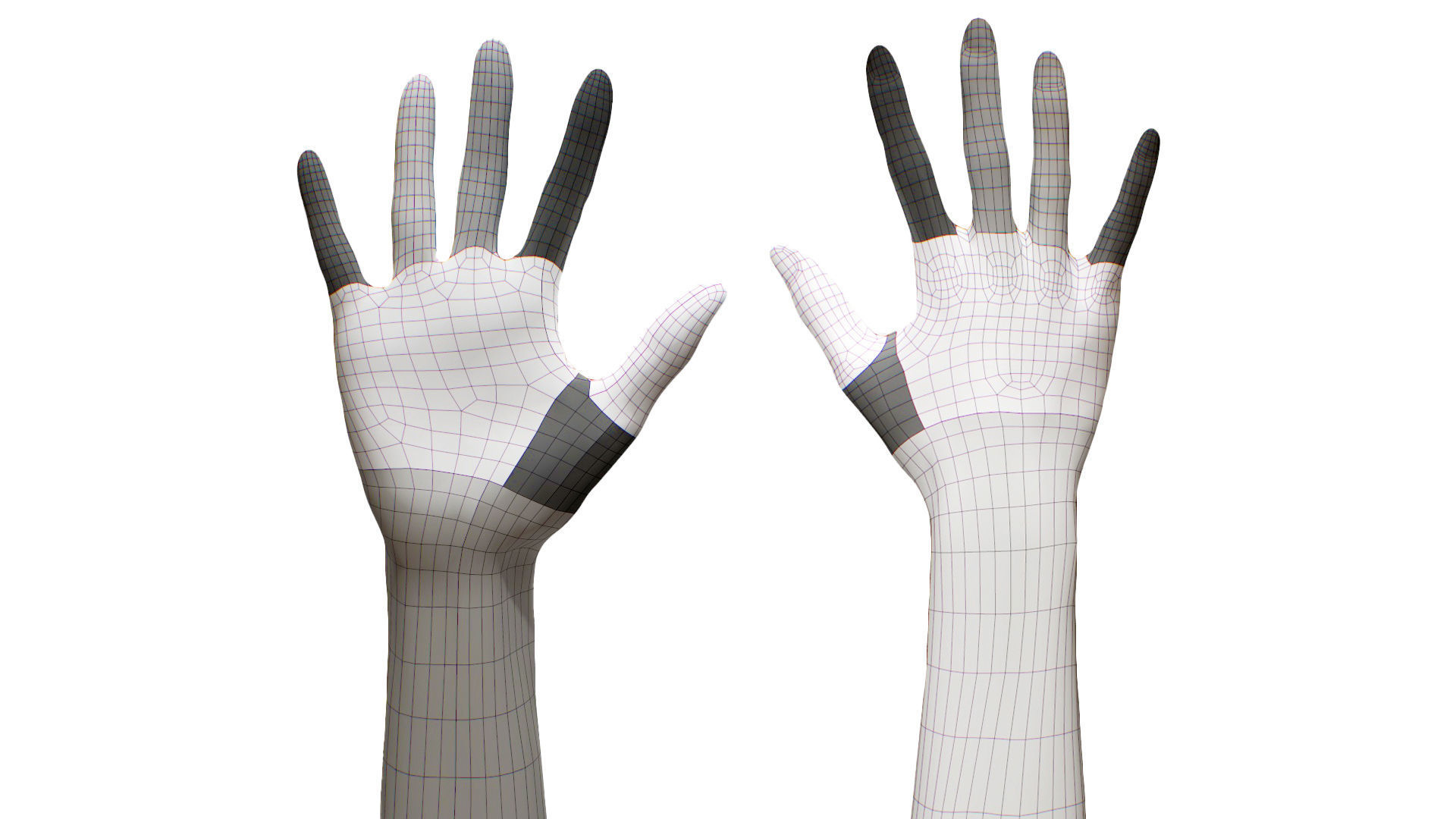 3D Retopologized Hand Scan Ishikawa Sayoko 3D model_4