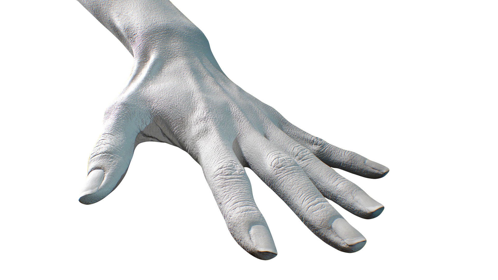 3D Retopologized Hand Scan Ishikawa Sayoko 3D model_7