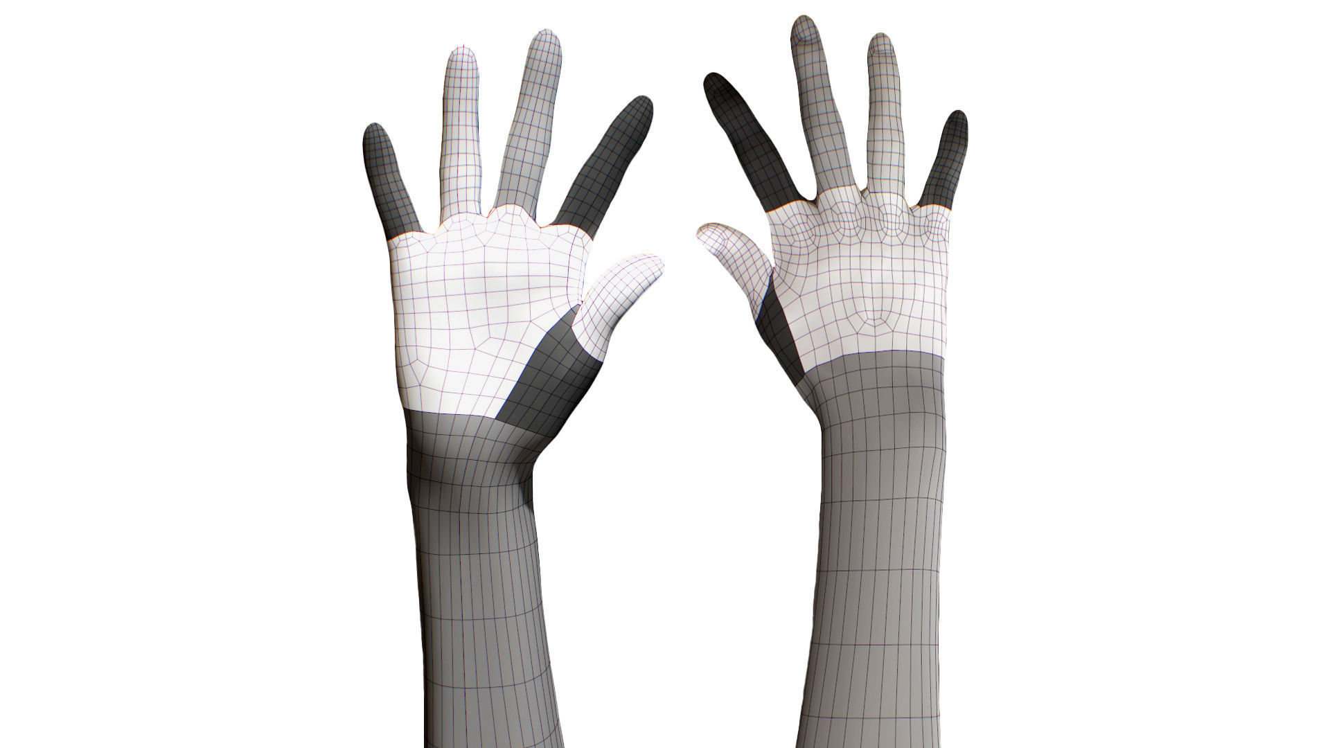 3D Retopologized Hand Scan Isla Cole 3D model_4