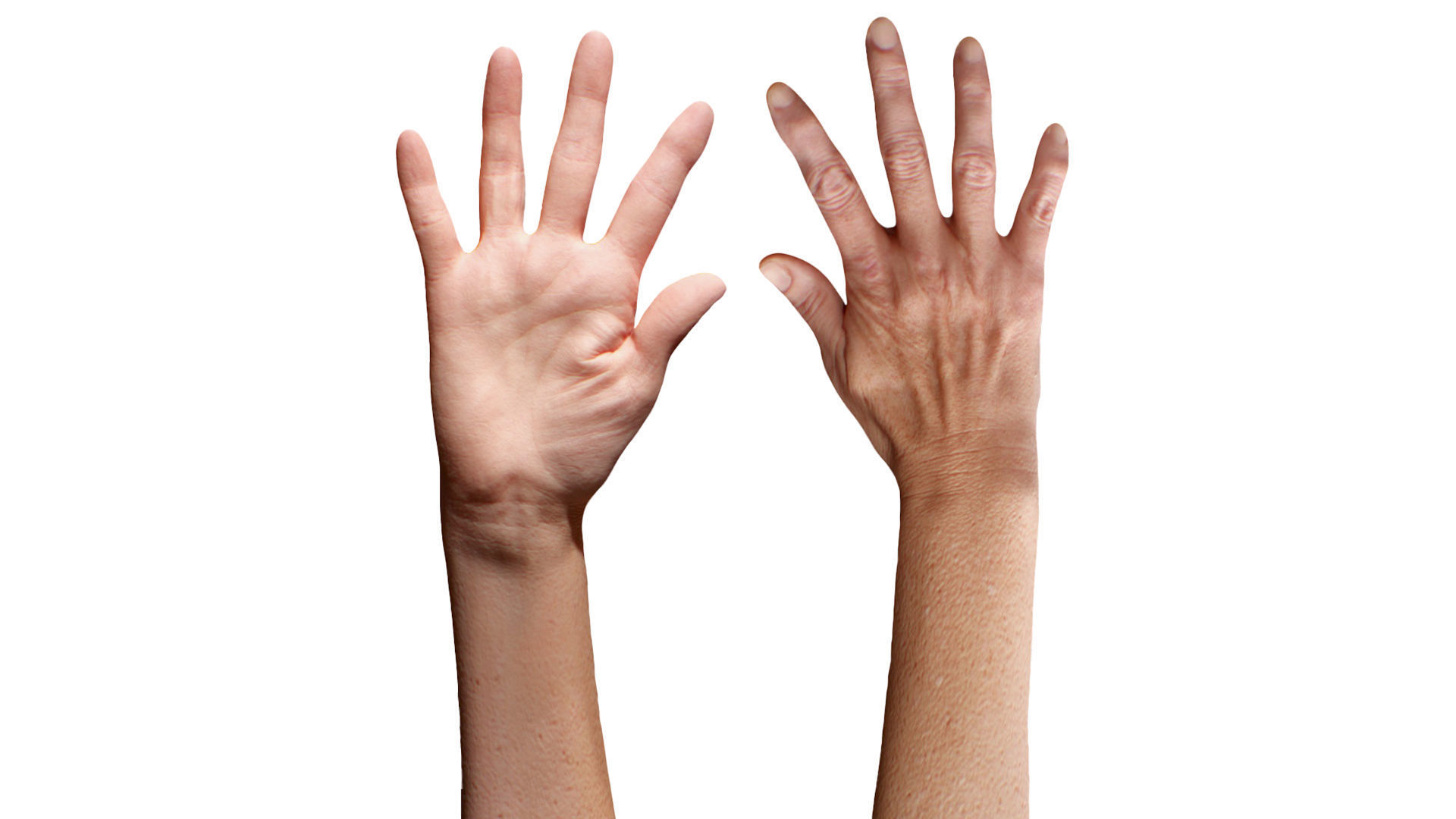 3D Retopologized Hand Scan Isla Cole 3D model_3