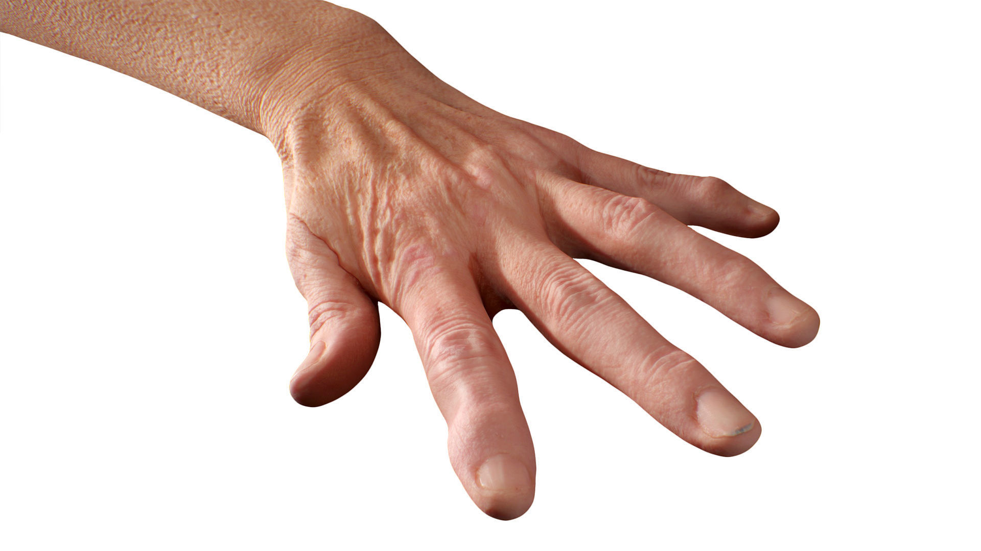 3D Retopologized Hand Scan Isla Cole 3D model_5