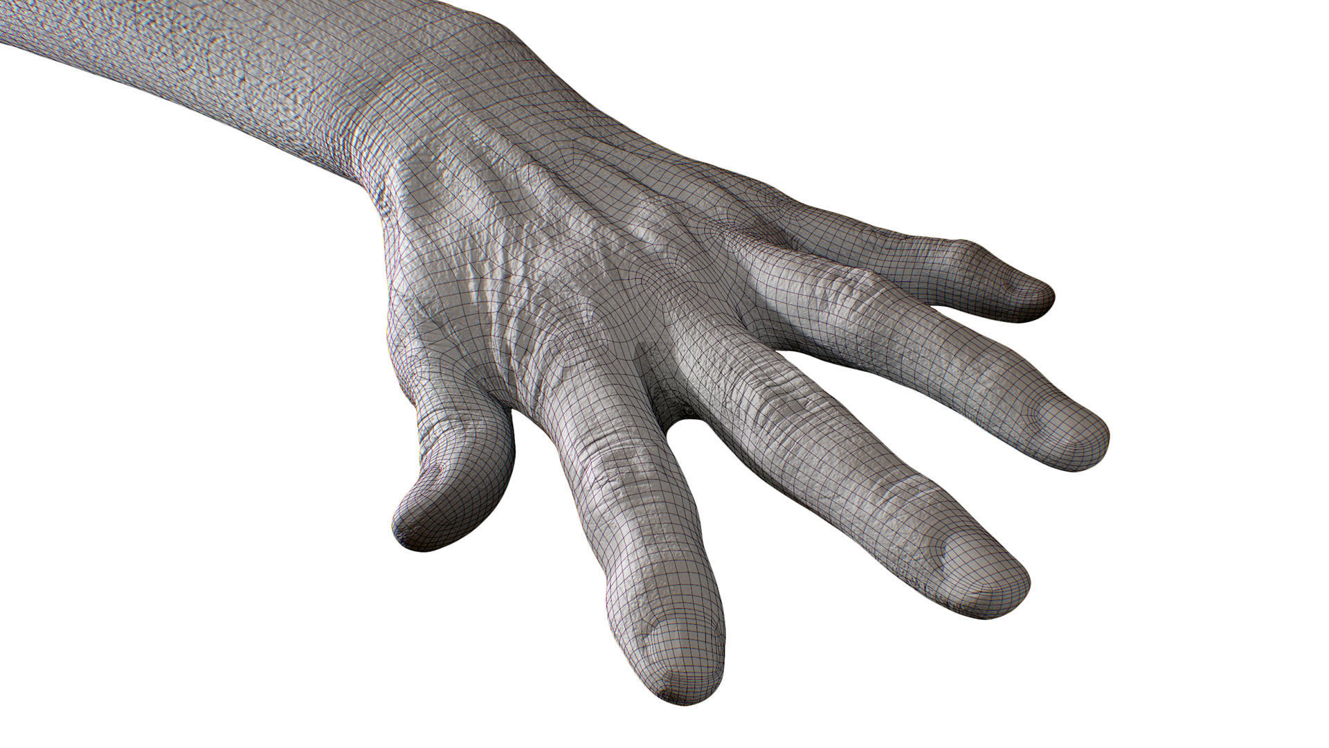 3D Retopologized Hand Scan Isla Cole 3D model_7
