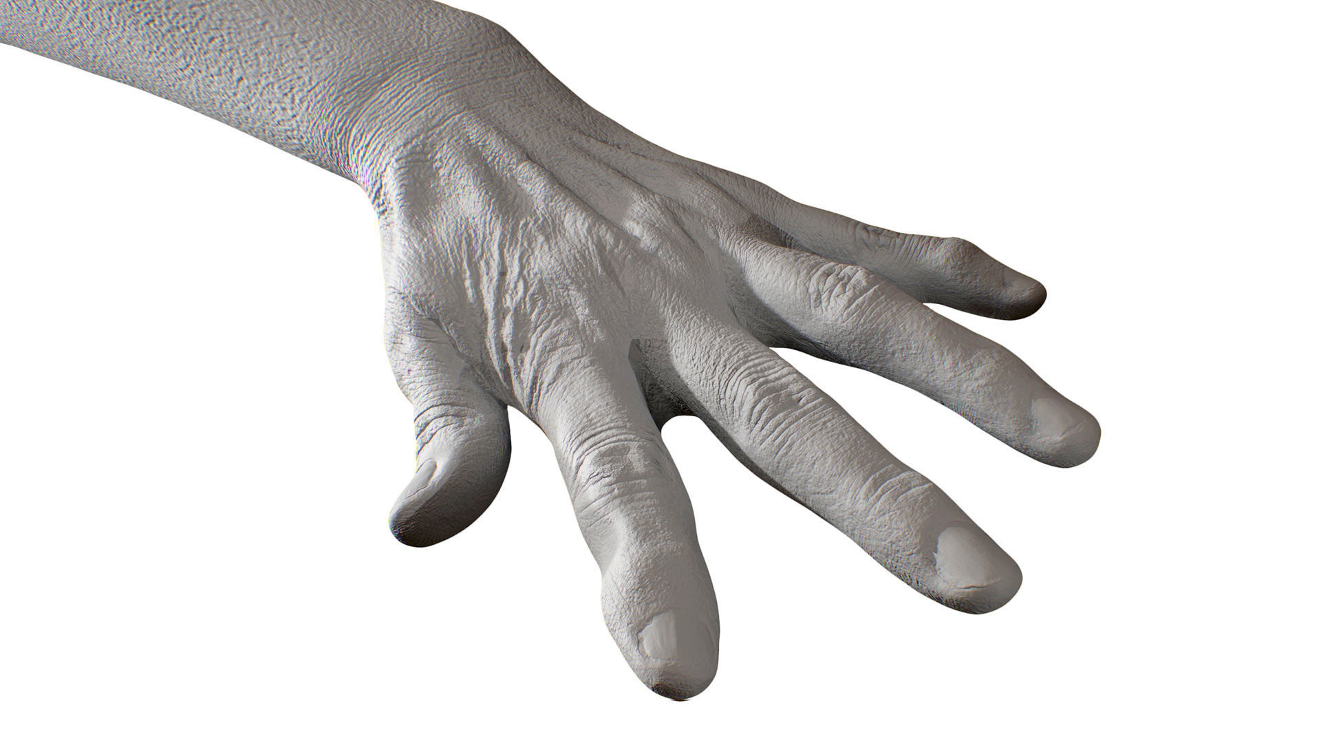 3D Retopologized Hand Scan Isla Cole 3D model_8