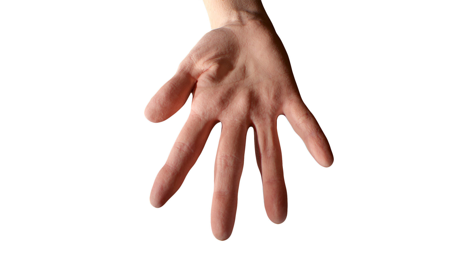 3D Retopologized Hand Scan Isla Cole 3D model_9