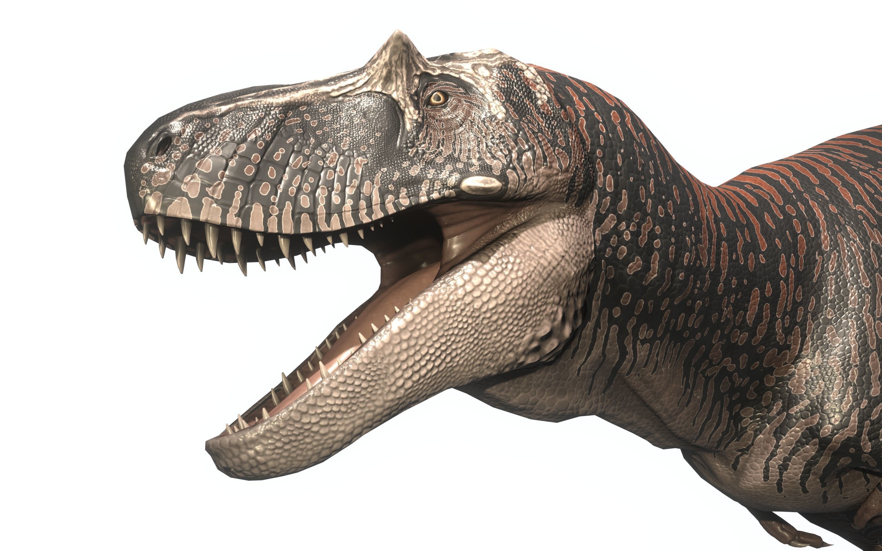 Albertosaurus Asset Pack Low-poly 3D model_5