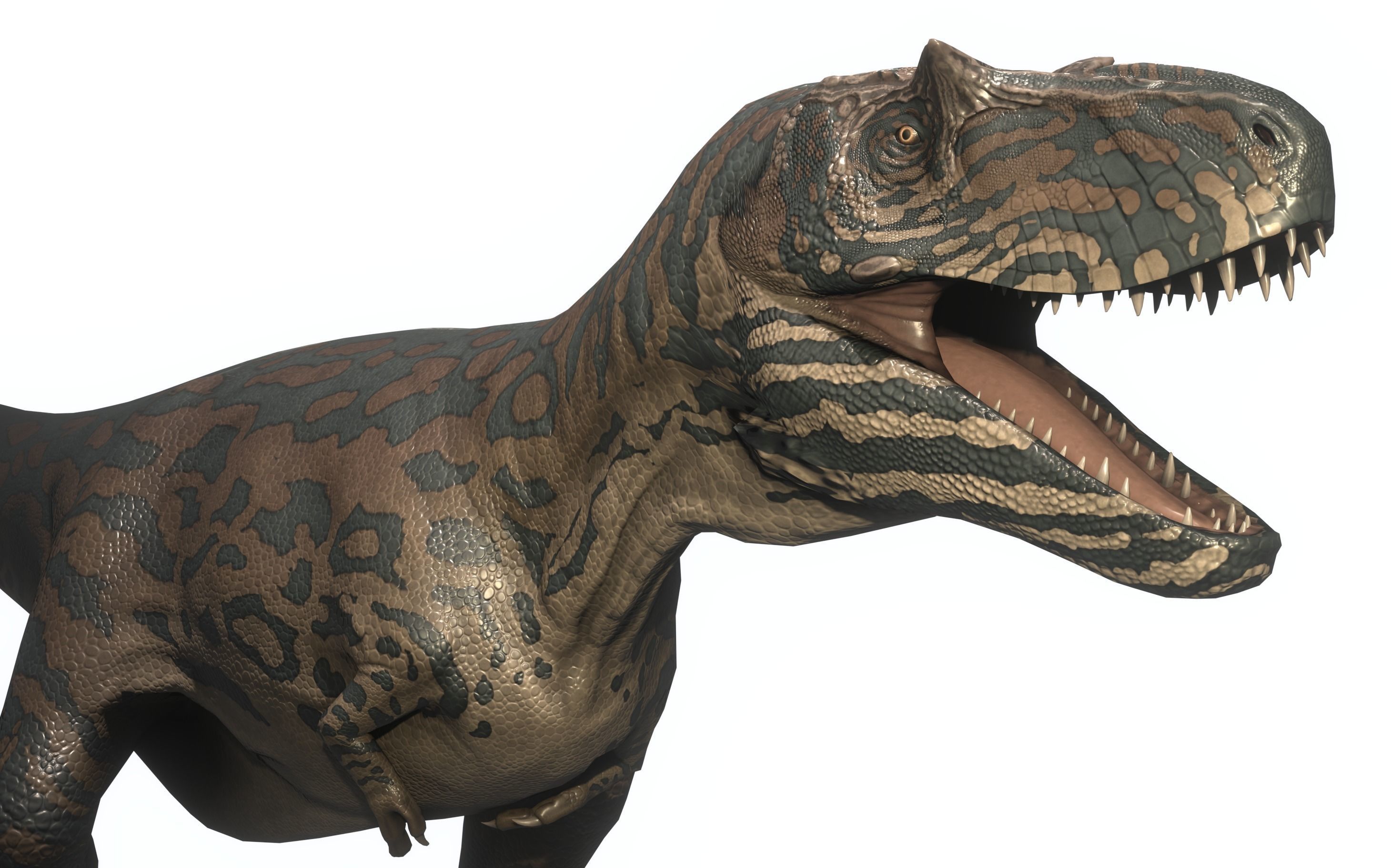 Albertosaurus Asset Pack Low-poly 3D model_6