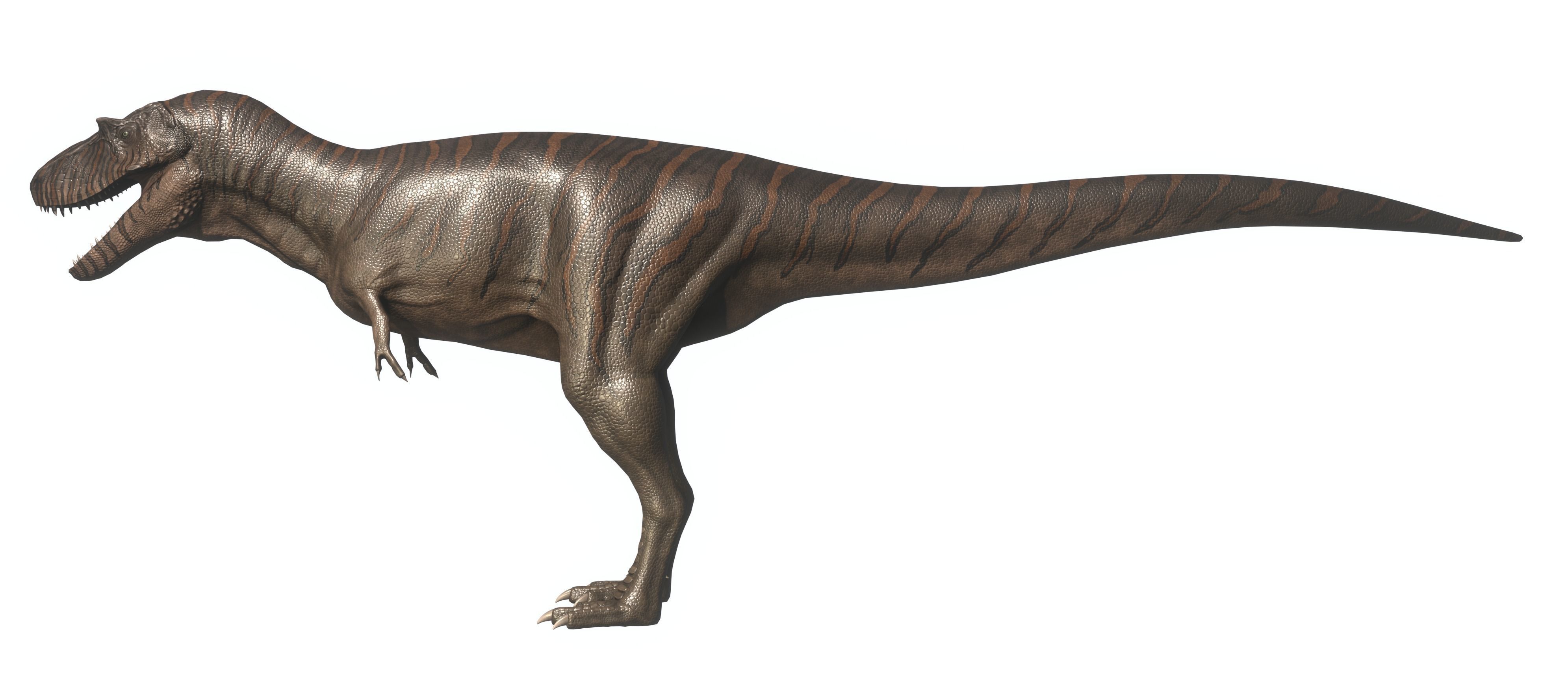 Albertosaurus Asset Pack Low-poly 3D model_4