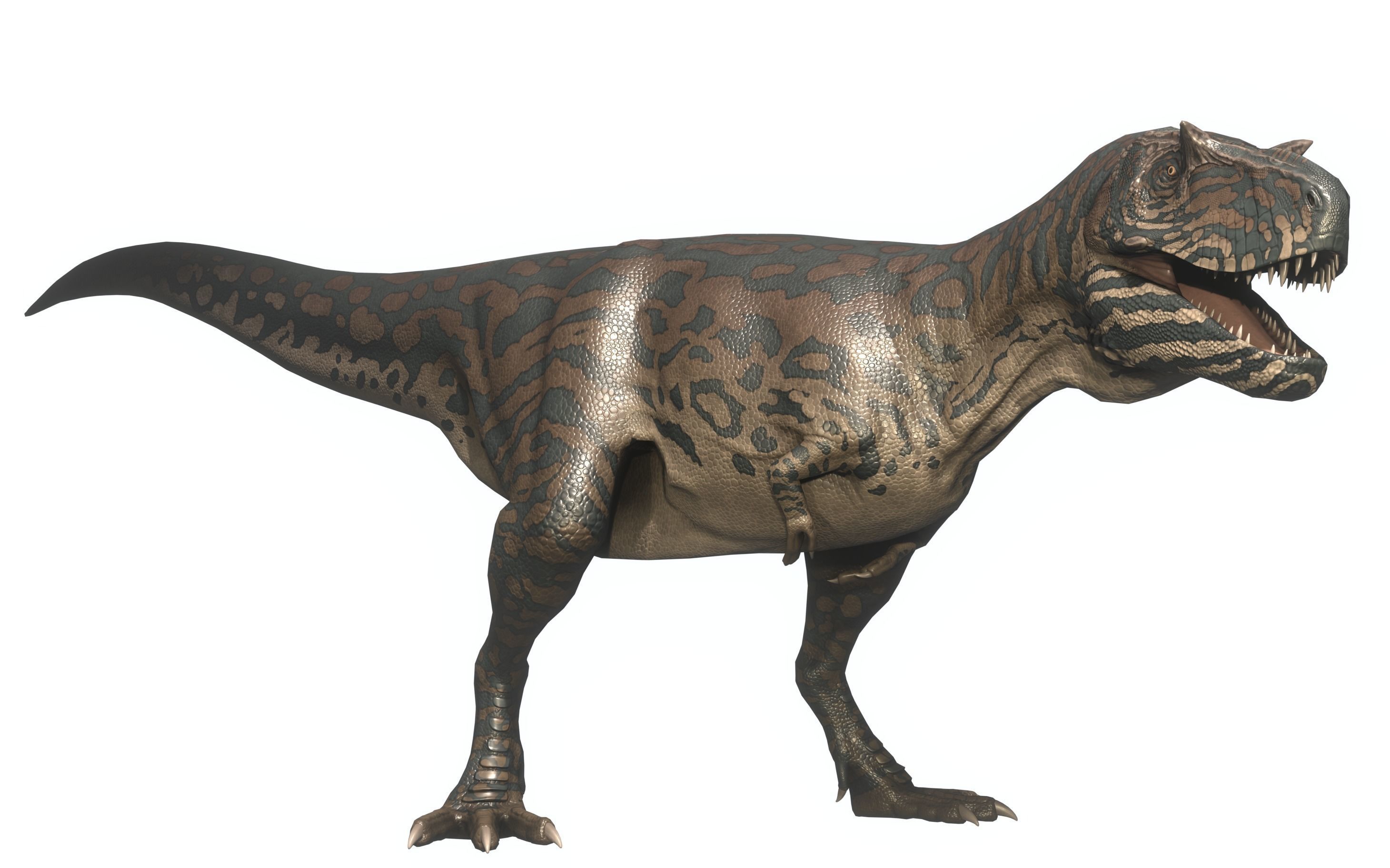 Albertosaurus Asset Pack Low-poly 3D model_2