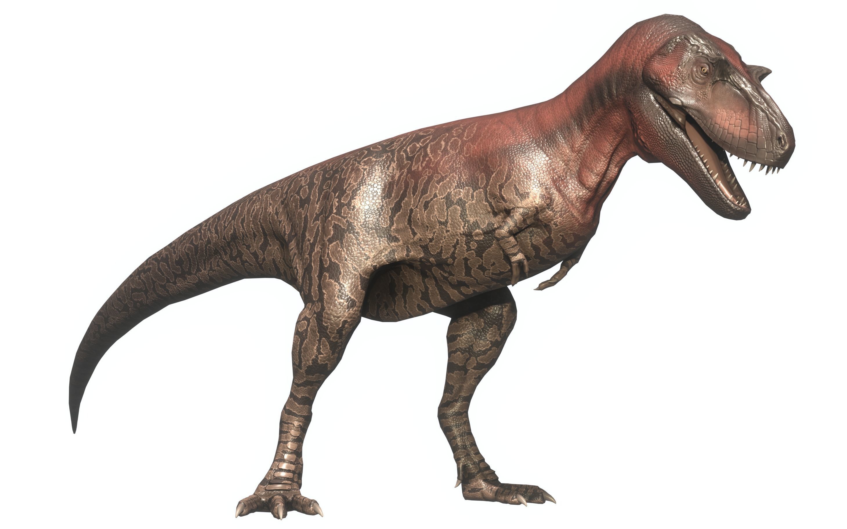 Albertosaurus Asset Pack Low-poly 3D model_1