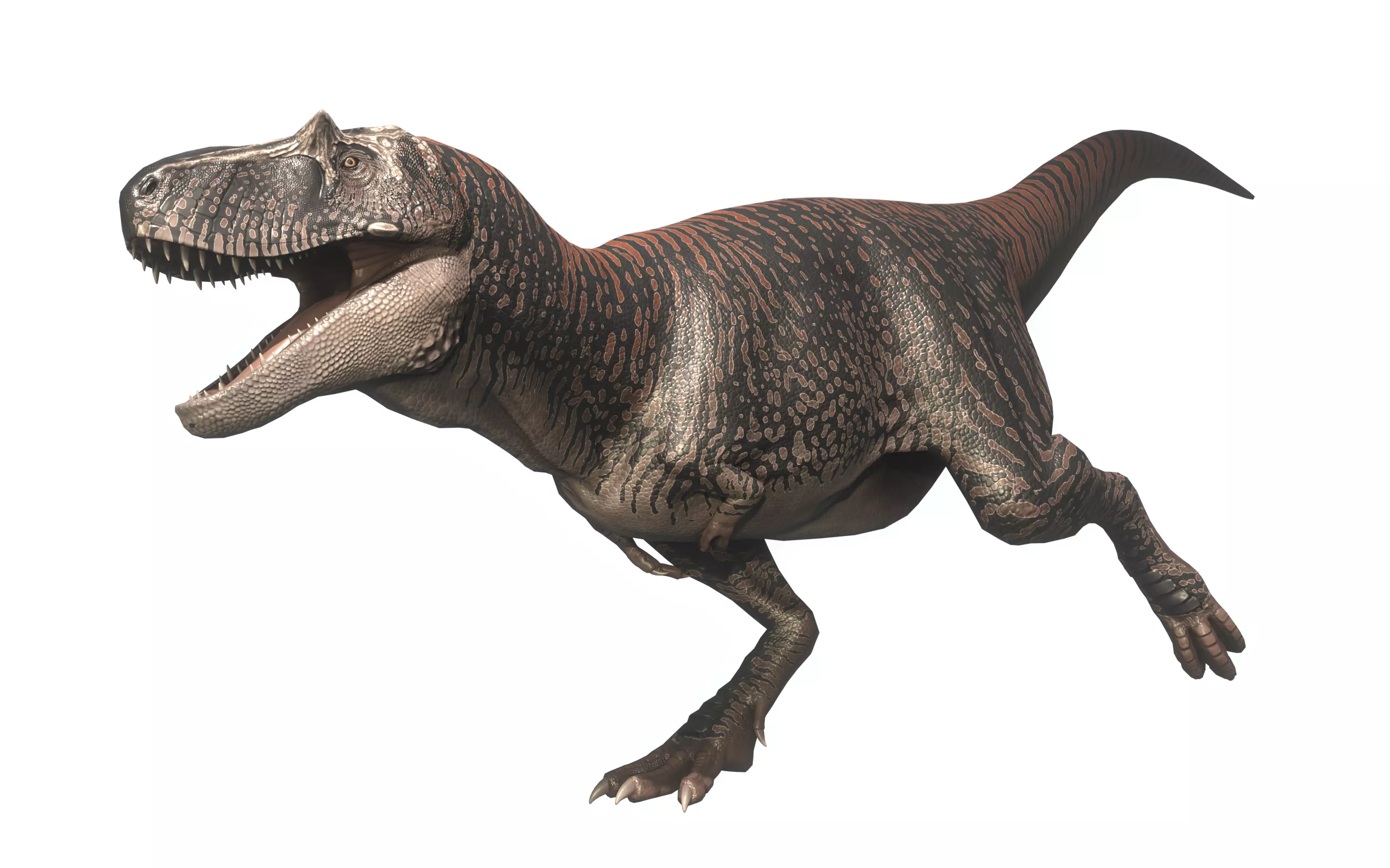 Albertosaurus Asset Pack Low-poly 3D model_0