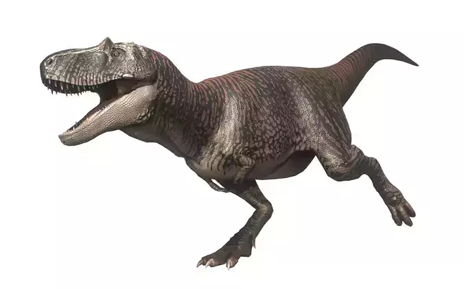 Albertosaurus Asset Pack Low-poly 3D model