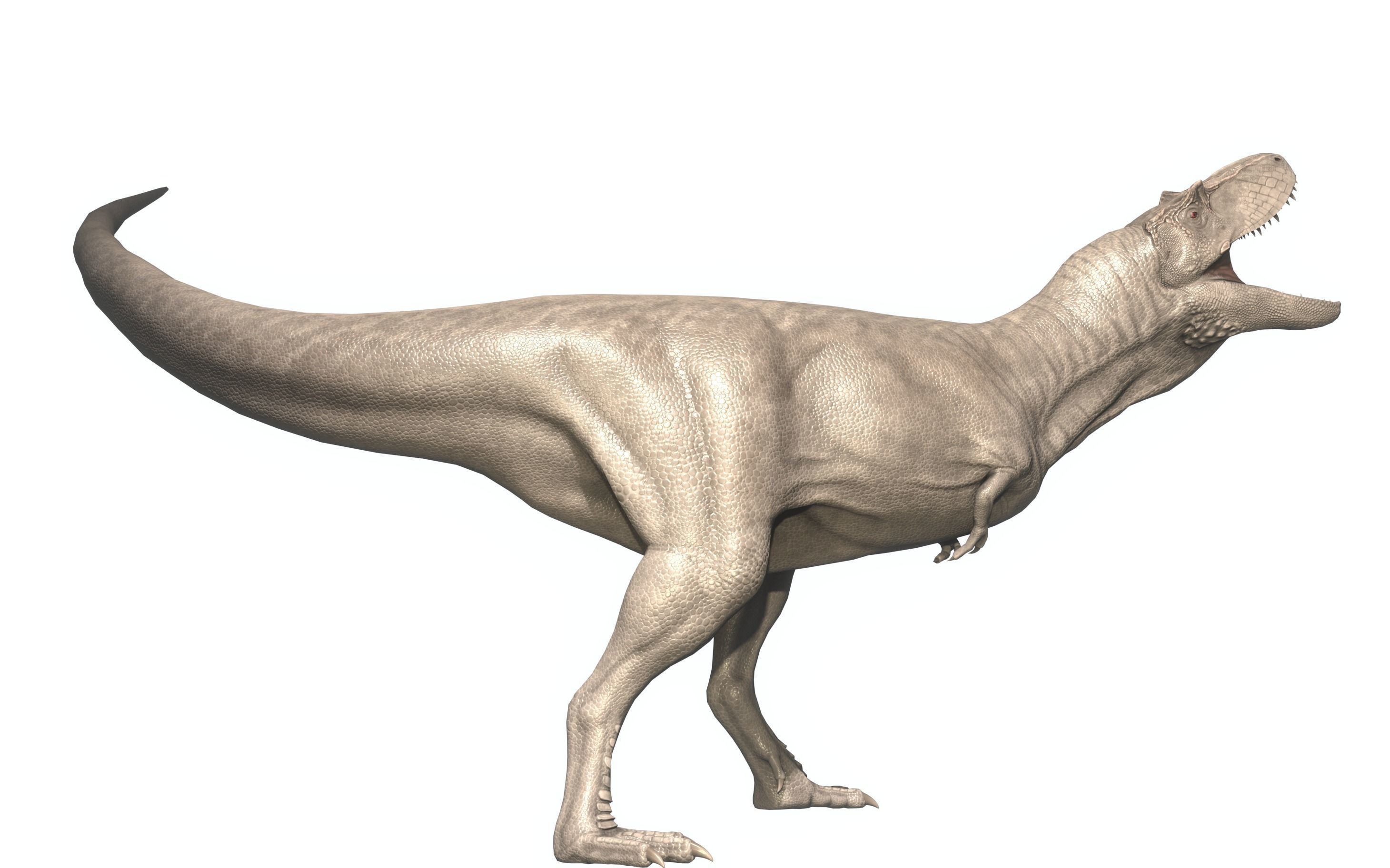 Albertosaurus Asset Pack Low-poly 3D model_3