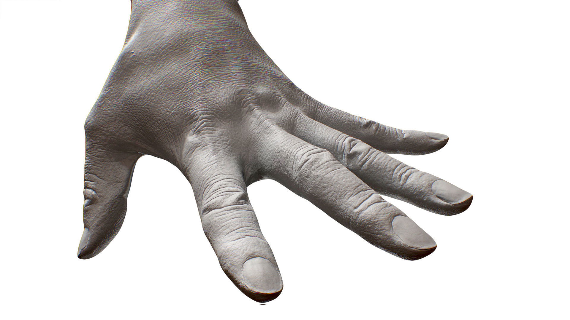 3D Retopologized Hand Scan Tokuda Heizo 3D model_8