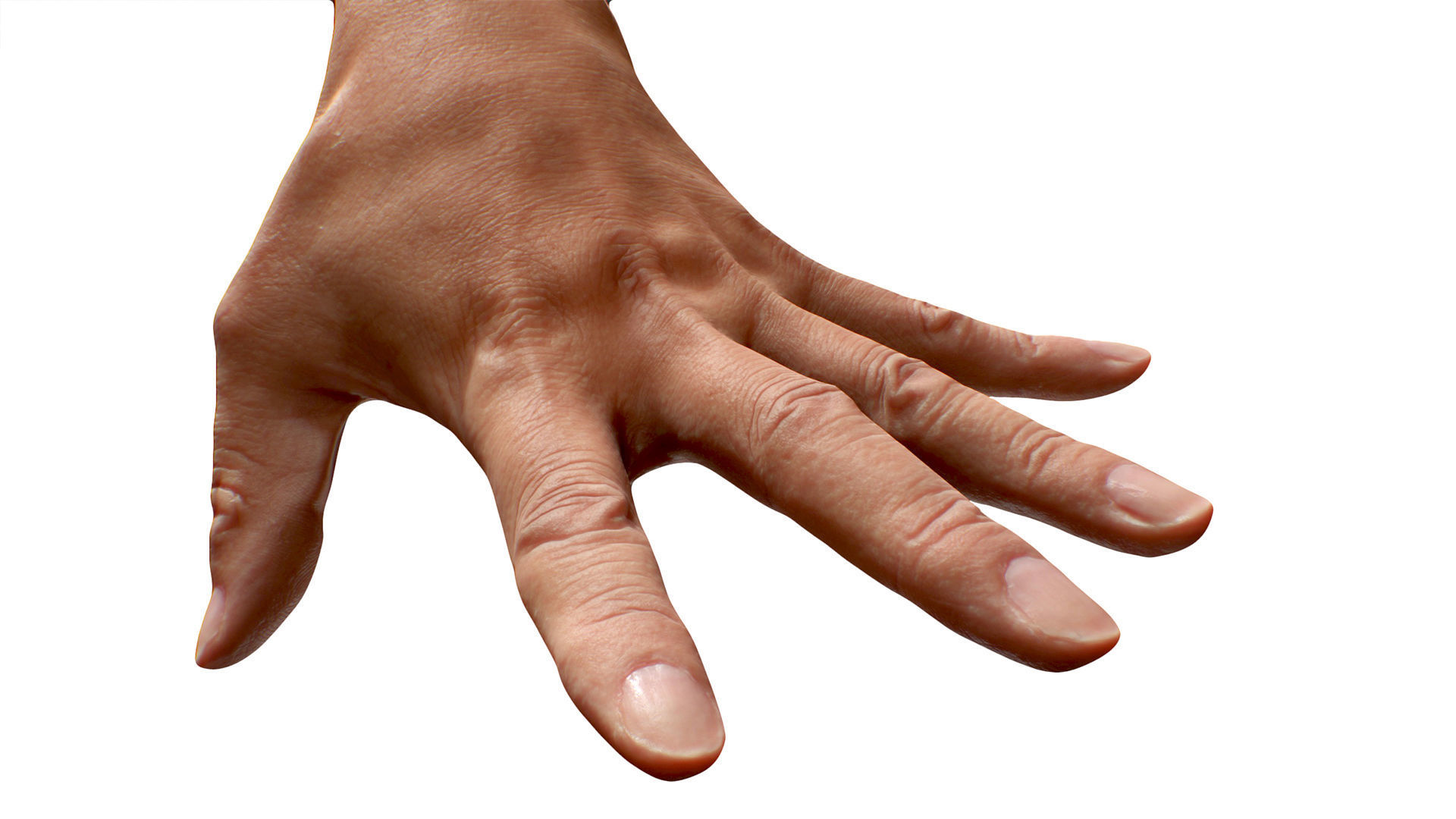 3D Retopologized Hand Scan Tokuda Heizo 3D model_5