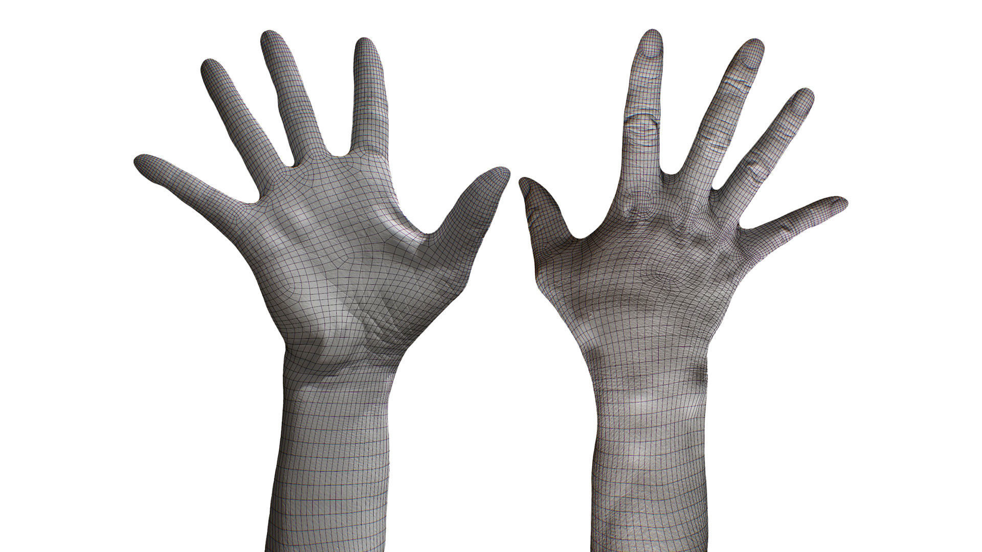 3D Retopologized Hand Scan Tokuda Heizo 3D model_4