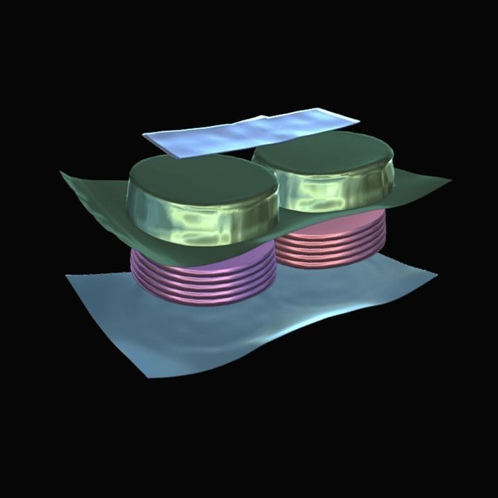 Package of Braunschweiger 3D model_6