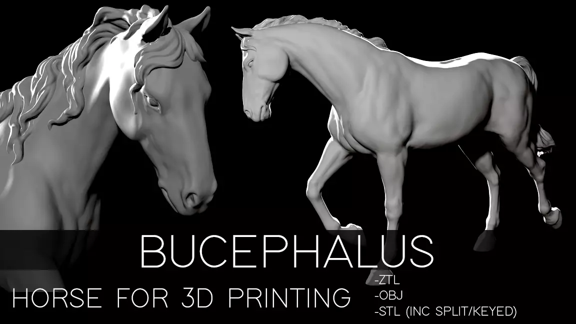 Bucephalus - Horse for 3D printing 3D print model_0