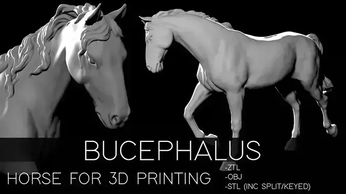 Bucephalus - Horse for 3D printing