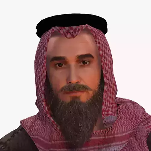 High quality character full Rigged and Animated