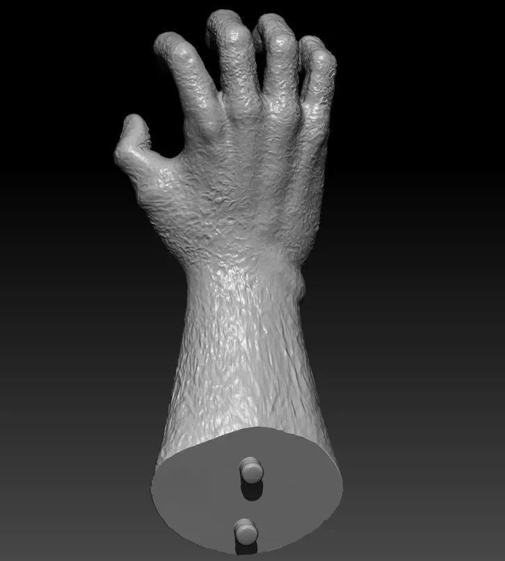 BERSERK - GOD HAND 3D model_2