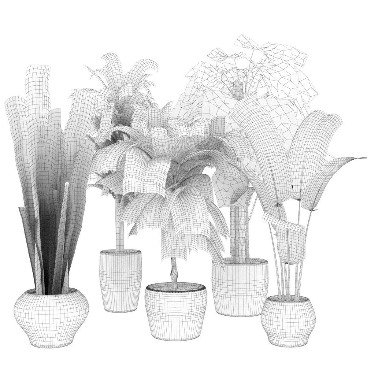 Collection plant vol 286 -indoor - leaf 3D model_6
