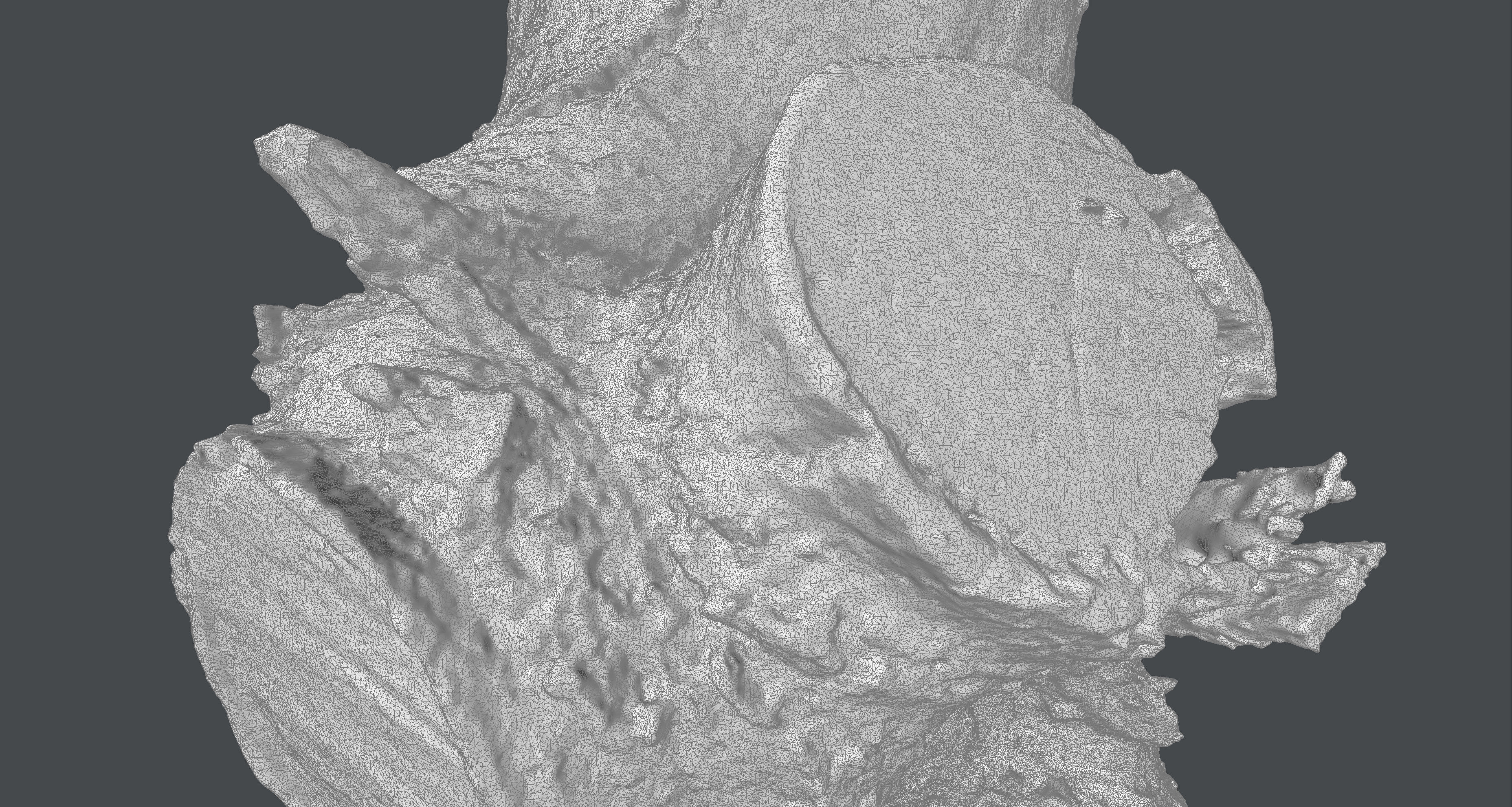 Tree trunk detail 3D model_2