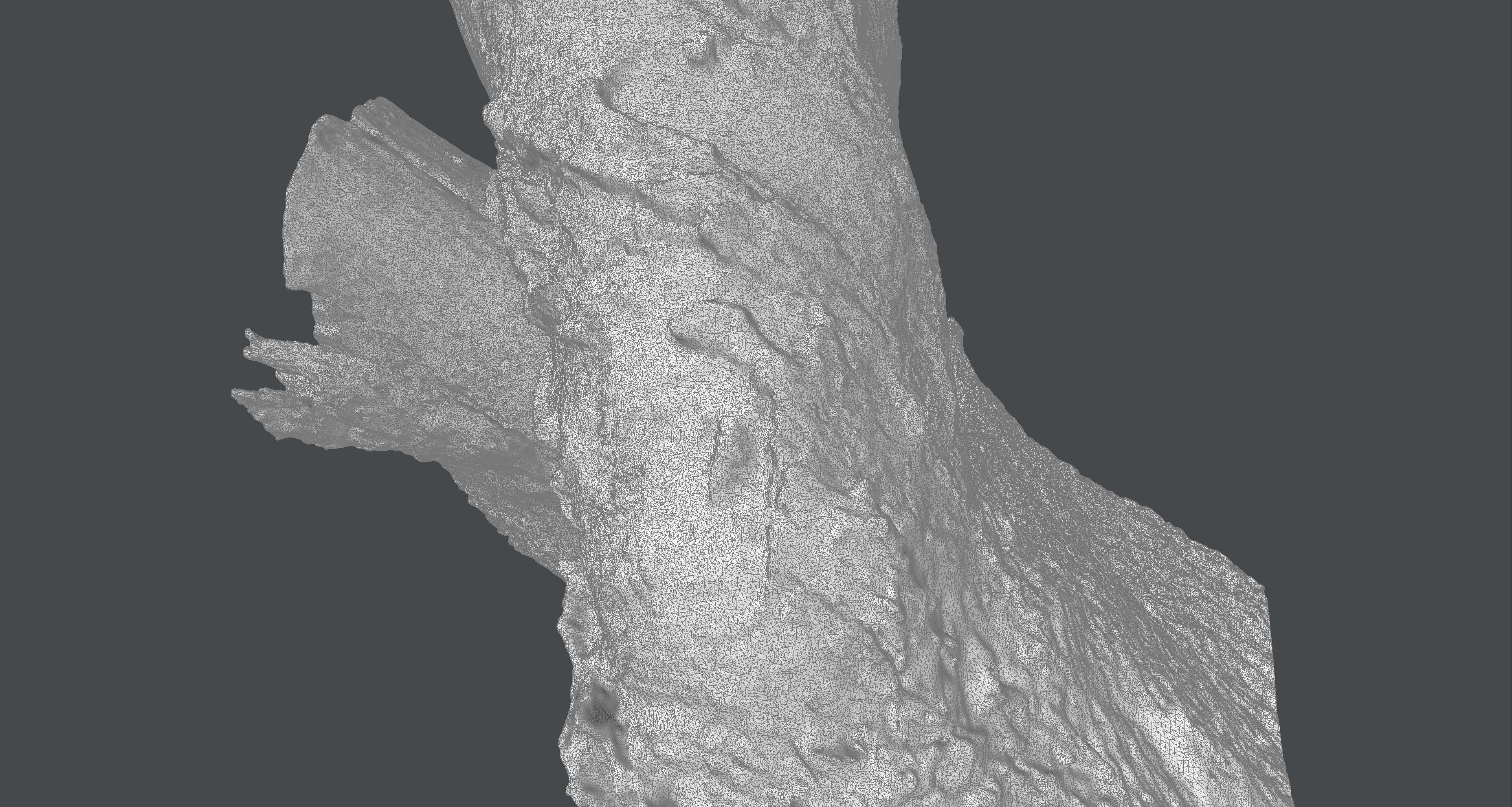 Tree trunk detail 3D model_1
