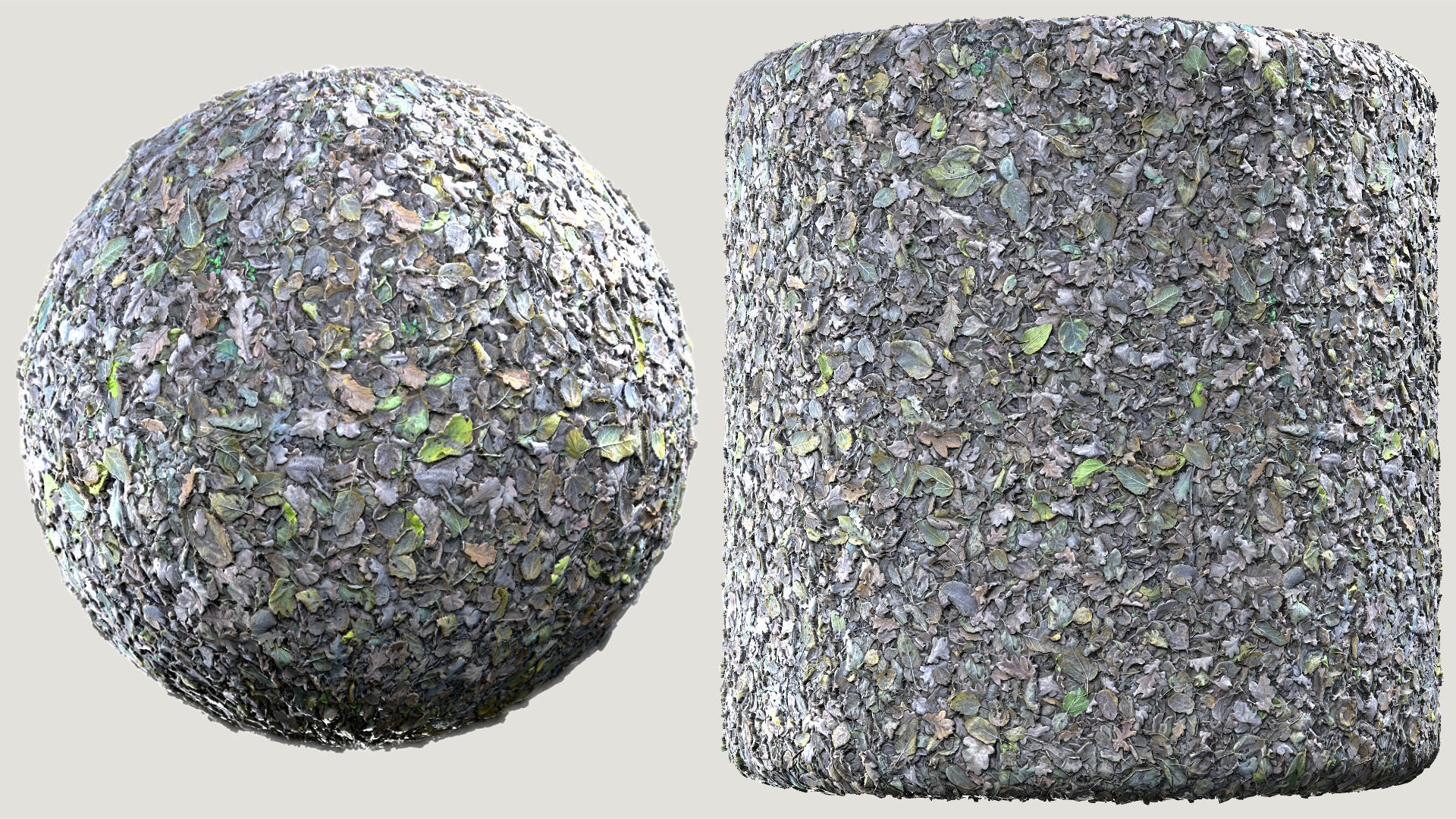 Mixed-Leves 02 Texture_1