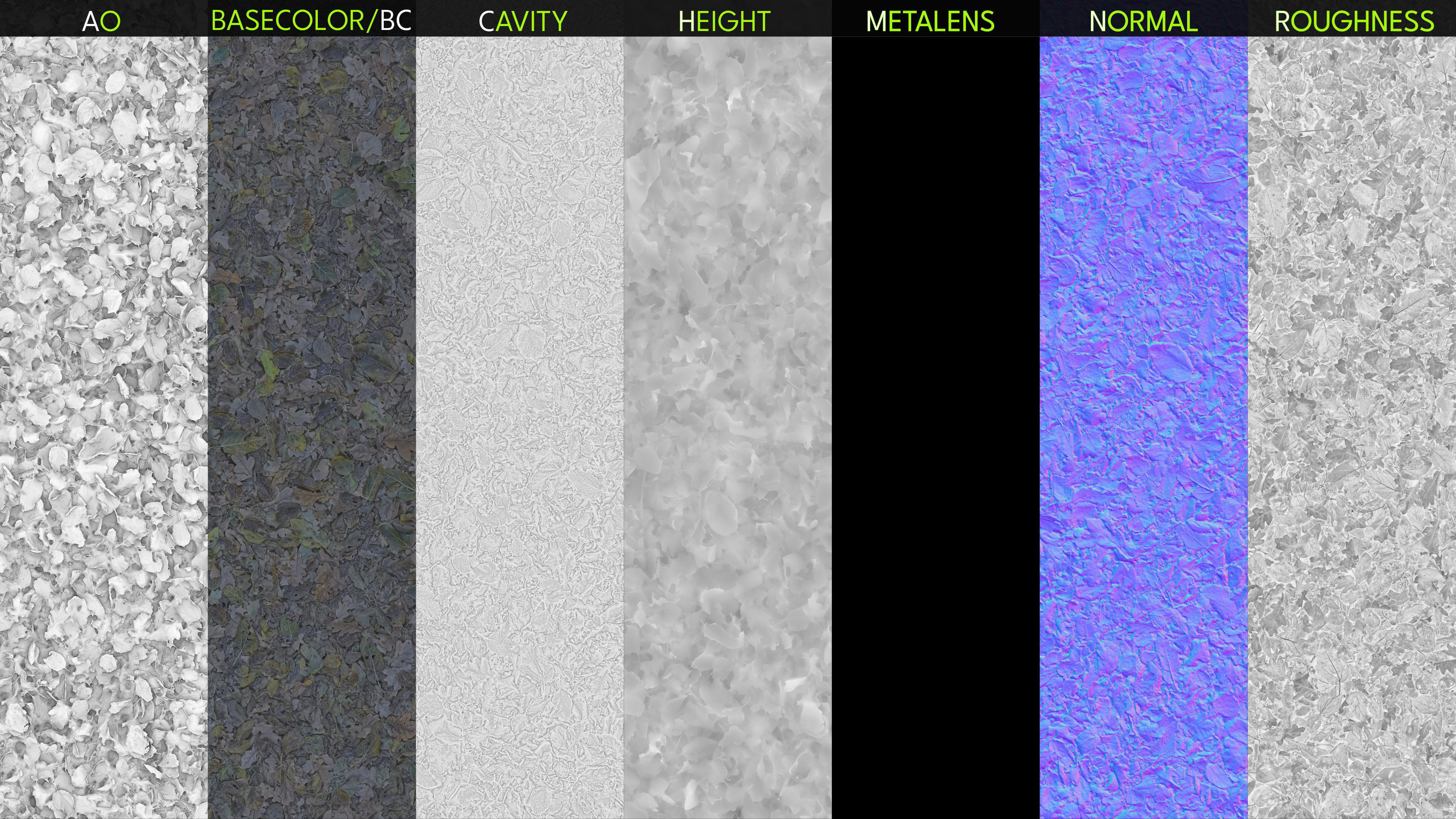 Mixed-Leves 02 Texture_3