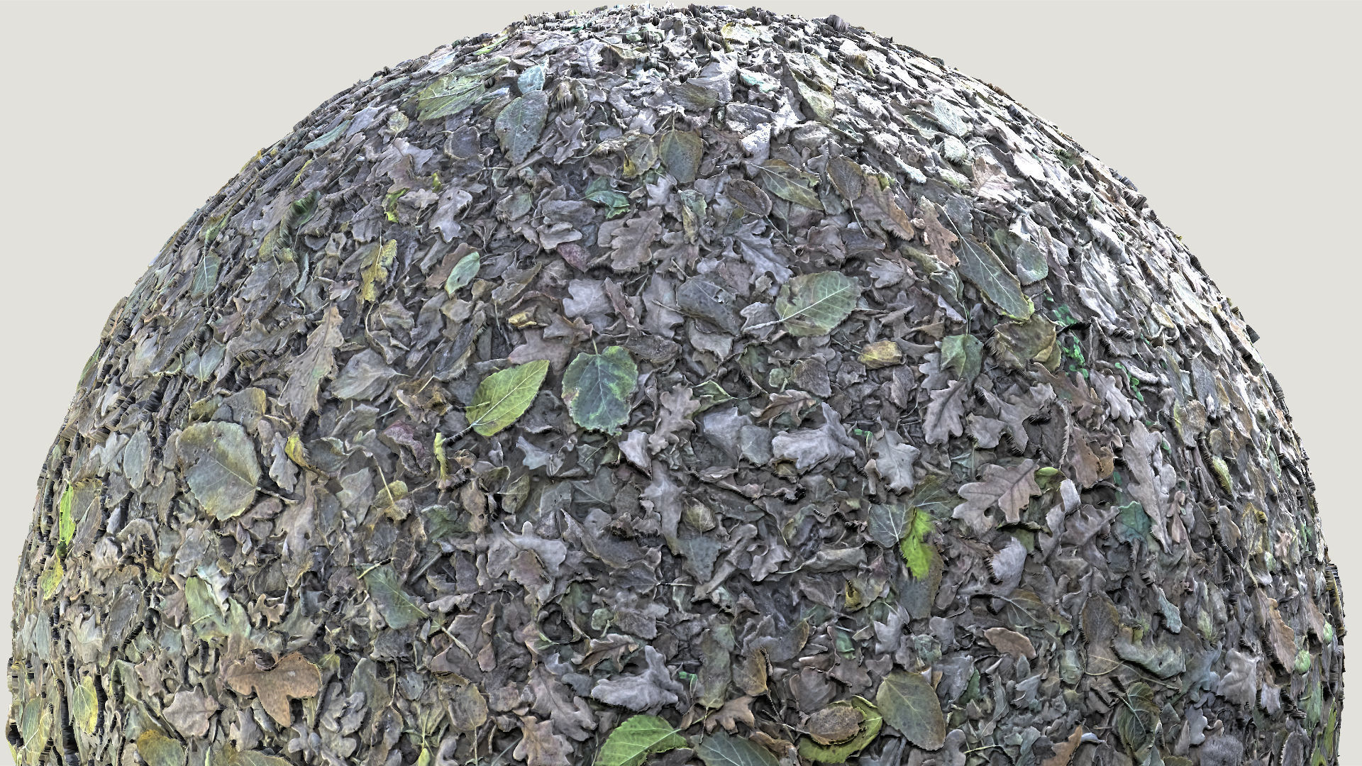 Mixed-Leves 02 Texture_4