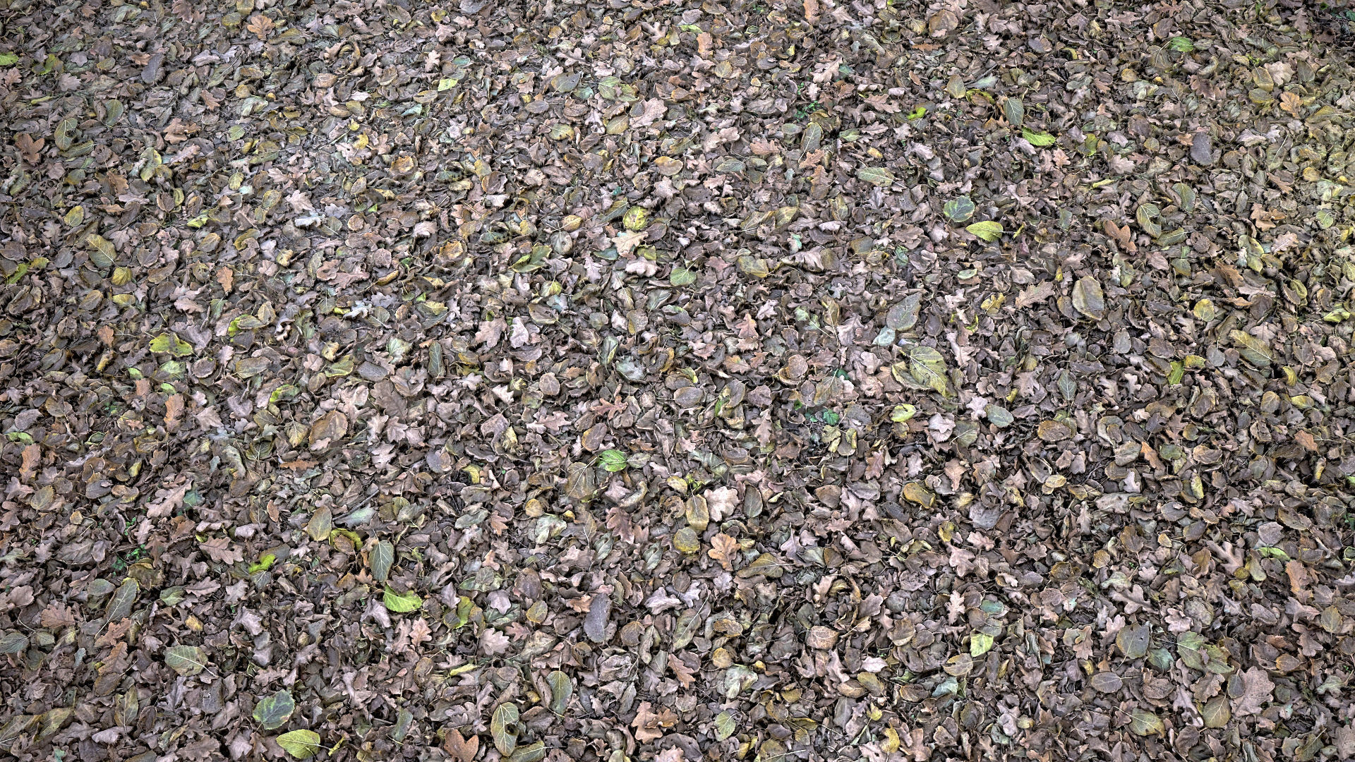 Mixed-Leves 02 Texture_2