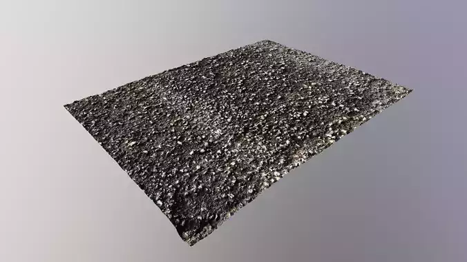 Rough road photoscan